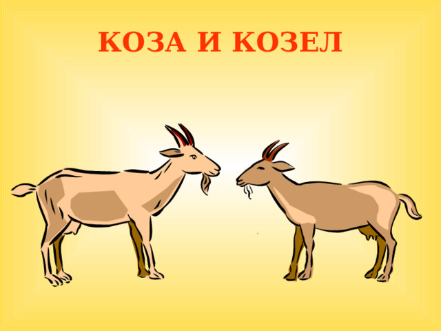 КОЗА И КОЗЕЛ  