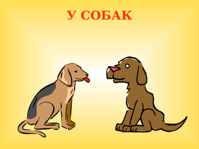 У СОБАК  