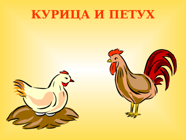 КУРИЦА И ПЕТУХ  
