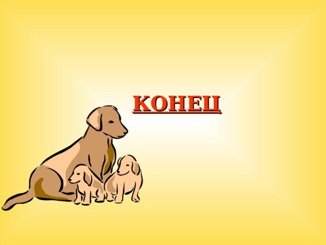 КОНЕЦ  