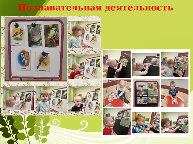 Познавательная деятельность  