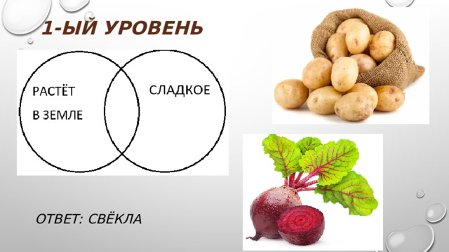 1-ыЙ УРОВЕНЬ ОТВЕТ: СВЁКЛА 