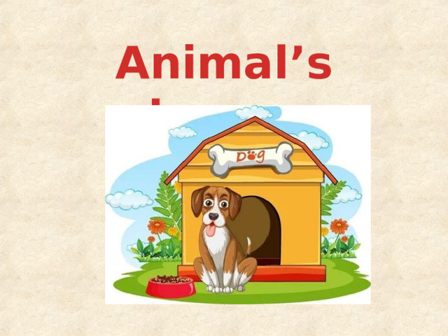 Animal’s house 