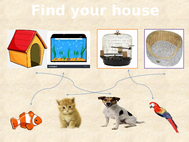 Find your house 