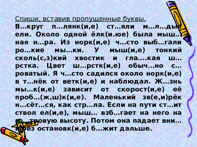 Спиши, вставив пропущенные буквы. В…круг п…лянк(и,е) ст…яли м…л…дые ели. Около одной ёлк(и.юе) была мыш…ная н…ра. Из норк(и,е) ч…сто выб…гали ро…кие мы…ки. У мыш(и,е) тонкий сколь(с,з)кий хвостик и гла….кая ш…рстка. Цвет ш…рстк(и,е) обыч…но с…роватый. Я ч…сто садился около норк(и,е) в т…нёк от ветк(и,е) и наблюдал. Ж…знь мы…к(и,е) зависит от скорост(и,е) её проб…(ж,ш)к(и,е). Маленький зв(е,и)рёк н…сёт…ся, как стр…ла. Если на пути ст…ит ствол ел(и,е), мыш… взб…гает на него на м….тровую высоту. Потом она падает вни… и без остановк(и,е) б…жит дальше. 