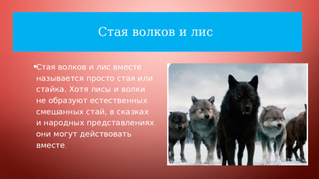 Стая волков и лис Стая волков и лис вместе называется просто стая или стайка. Хотя лисы и волки не образуют естественных смешанных стай, в сказках и народных представлениях они могут действовать вместе . 
