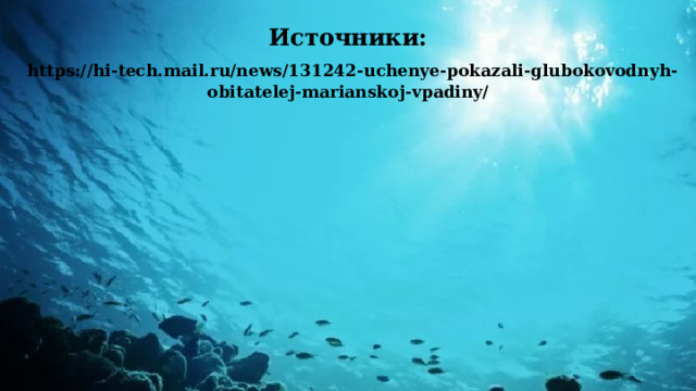 Источники:   https://hi-tech.mail.ru/news/131242-uchenye-pokazali-glubokovodnyh-obitatelej-marianskoj-vpadiny/   