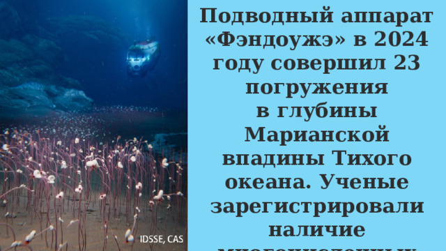 Подводный аппарат «Фэндоужэ» в 2024 году совершил 23 погружения в глубины Марианской впадины Тихого океана. Ученые зарегистрировали наличие многочисленных колоний животных на глубинах от 2,5 до 9,5 км. 