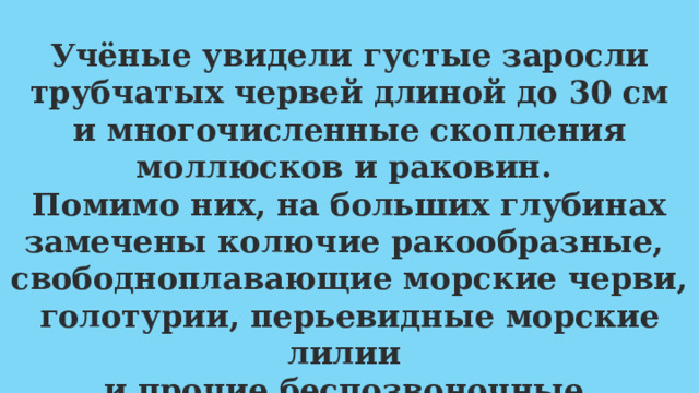 Учёные увидели густые заросли трубчатых червей длиной до 30 см и многочисленные скопления моллюсков и раковин. Помимо них, на больших глубинах замечены колючие ракообразные, свободноплавающие морские черви, голотурии, перьевидные морские лилии и прочие беспозвоночные. 
