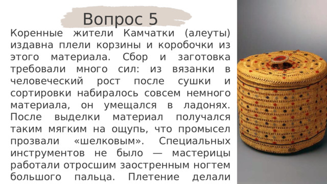 Вопрос 5 Коренные жители Камчатки (алеуты) издавна плели корзины и коробочки из этого материала. Сбор и заготовка требовали много сил: из вязанки в человеческий рост после сушки и сортировки набиралось совсем немного материала, он умещался в ладонях. После выделки материал получался таким мягким на ощупь, что промысел прозвали «шелковым». Специальных инструментов не было — мастерицы работали отросшим заостренным ногтем большого пальца. Плетение делали разное: и разреженное, и настолько плотное, что в корзине носили воду. О каком материале идёт речь? 