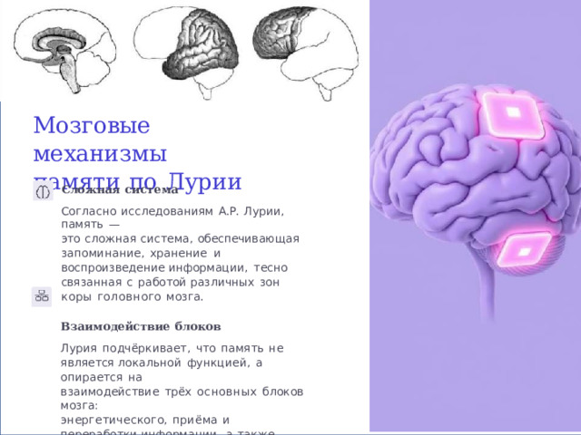 Мозговые  механизмы памяти  по  Лурии Сложная  система Согласно  исследованиям  А.Р.  Лурии,  память  — это  сложная  система,  обеспечивающая запоминание,  хранение  и  воспроизведение информации,  тесно  связанная  с  работой различных  зон  коры  головного  мозга. Взаимодействие  блоков Лурия  подчёркивает,  что  память  не  является локальной  функцией,  а  опирается  на взаимодействие  трёх  основных  блоков  мозга: энергетического,  приёма  и  переработки информации,  а  также  программирования действий. 