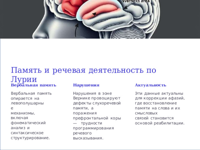 Память  и  речевая  деятельность  по  Лурии Вербальная  память Нарушения Актуальность Вербальная  память Нарушения  в  зоне  Вернике провоцируют  дефекты слухоречевой  памяти,  а Эти  данные  актуальны  для коррекции  афазий,  где восстановление  памяти  на слова  и  их  смысловых опирается  на левополушарные поражения связей  становится  основой реабилитации. механизмы,  включая префронтальной  коры  — трудности фонематический  анализ  и синтаксическое программирования речевого  высказывания. структурирование. 