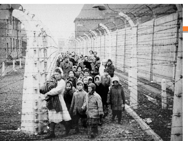 УЗНИКИ. Деревня Красный Берег  Красный Берег Деревня 