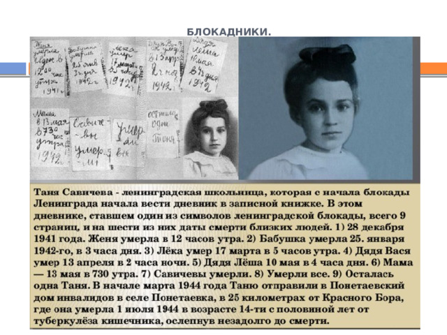 Рубащанский лес Рубащанский лес 