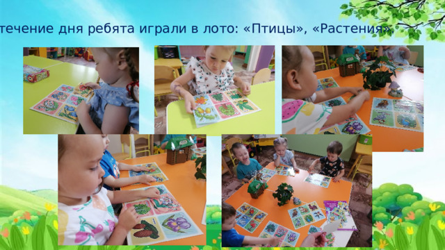 В течение дня ребята играли в лото: «Птицы», «Растения». 