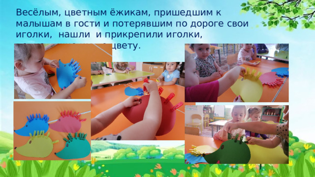 Весёлым, цветным ёжикам, пришедшим к малышам в гости и потерявшим по дороге свои иголки, нашли и прикрепили иголки, подходящие им по цвету. 