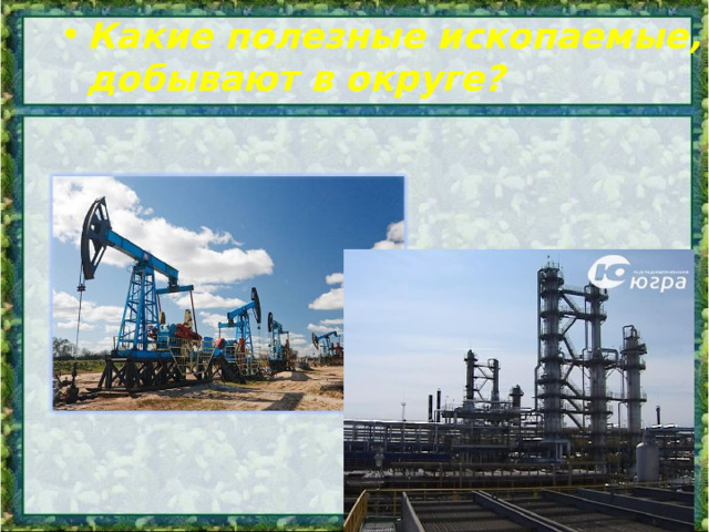 Какие полезные ископаемые, добывают в округе? 