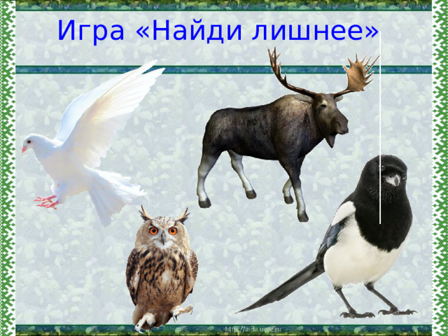 Игра «Найди лишнее» 