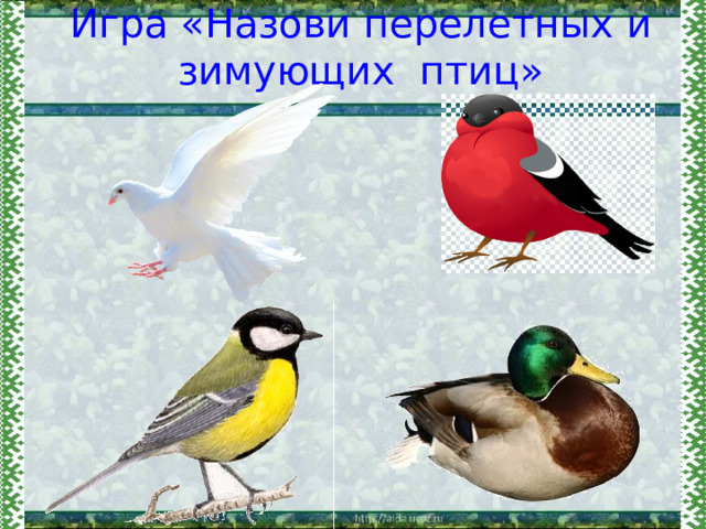 Игра «Назови перелетных и зимующих птиц» 