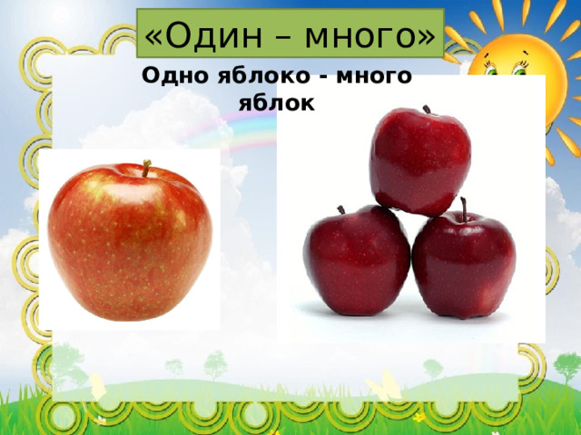 «Один – много» Одно яблоко - много яблок  