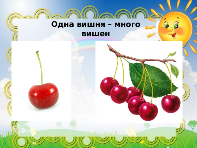 Одна вишня – много вишен  