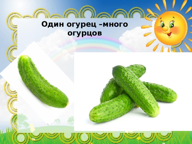 Один огурец –много огурцов  