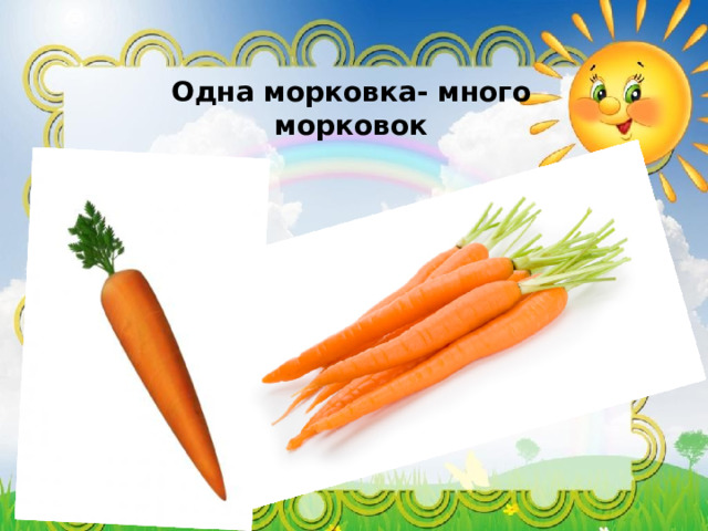 Одна морковка- много морковок  
