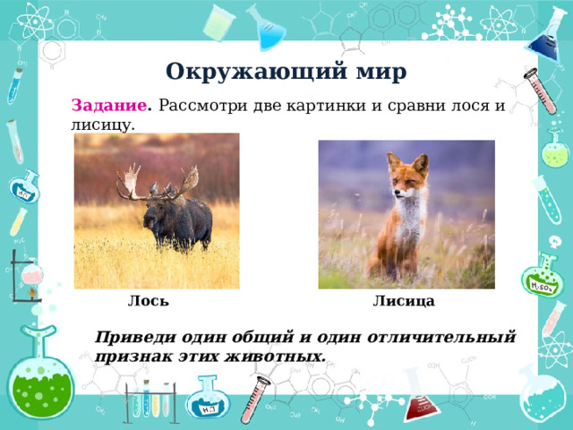 Окружающий мир Задание . Рассмотри две картинки и сравни лося и лисицу. Лось  Лисица  Приведи один общий и один отличительный признак этих животных. 