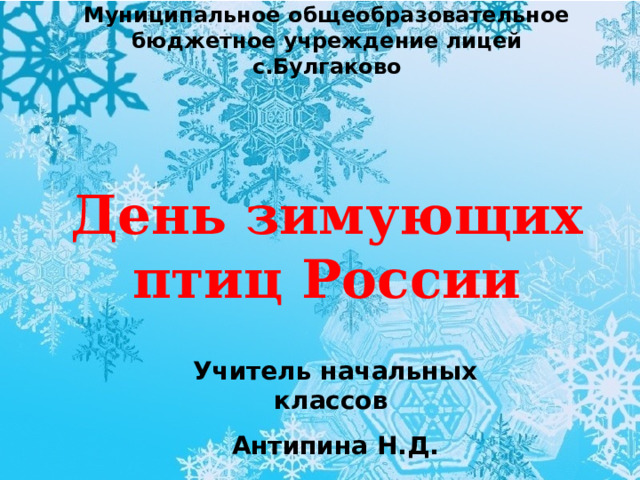 Муниципальное общеобразовательное бюджетное учреждение лицей с.Булгаково     День зимующих птиц России   Учитель начальных классов Антипина Н.Д. 