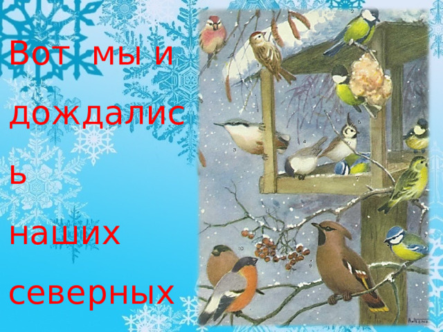 Вот мы и дождались  наших северных гостей. 
