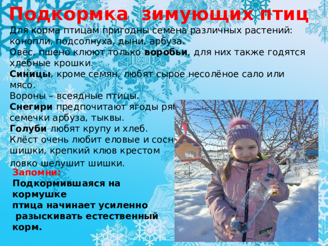 Подкормка зимующих птиц  Для корма птицам пригодны семена различных растений: конопли, подсолнуха, дыни, арбуза. Овёс, пшено клюют только воробьи , для них также годятся хлебные крошки. Синицы , кроме семян, любят сырое несолёное сало или мясо. Вороны – всеядные птицы. Снегири предпочитают ягоды рябины, облепихи, барбариса, семечки арбуза, тыквы. Голуби любят крупу и хлеб. Клёст очень любит еловые и сосновые шишки, крепкий клюв крестом ловко шелушит шишки.  Запомни: Подкормившаяся на кормушке птица начинает усиленно  разыскивать естественный корм. 