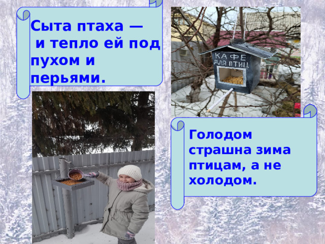 Сыта птаха —  и тепло ей под пухом и перьями. Голодом страшна зима птицам, а не холодом.  