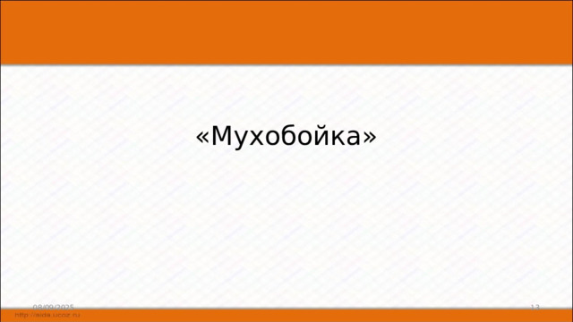 «Мухобойка» 08/09/2025 6 