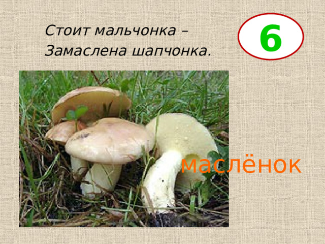 6 Стоит мальчонка – Замаслена шапчонка. маслёнок 