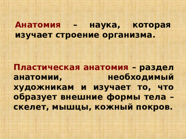 Анатомия – наука, которая изучает строение организма. Пластическая анатомия – раздел анатомии, необходимый художникам и изучает то, что образует внешние формы тела – скелет, мышцы, кожный покров. 