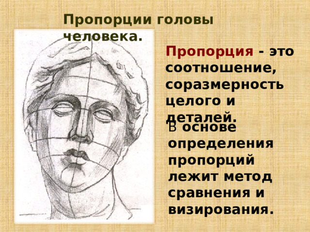 Пропорции головы человека. Пропорция - это соотношение, соразмерность целого и деталей. В основе определения пропорций лежит метод сравнения и визирования. 