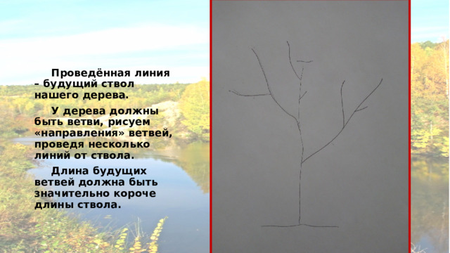     Проведённая линия – будущий ствол нашего дерева.  У дерева должны быть ветви, рисуем «направления» ветвей, проведя несколько линий от ствола.  Длина будущих ветвей должна быть значительно короче длины ствола. 