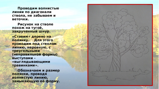  Проводим волнистые линии по диагонали ствола, не забываем и веточки.  Рисунок на стволе похож на тугой, закрученный шнур. «Ставим» дерево на полянку.  Для этого проводим под стволом линию, неровную, с треугольными (неправильной формы) выступами - «выглядывающими травинками».  Обозначаем и размер полянки, проводя волнистую линию, замыкающую её форму. 