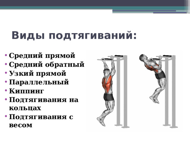 Виды подтягиваний: Средний прямой Средний обратный Узкий прямой Параллельный Киппинг Подтягивания на кольцах Подтягивания с весом 