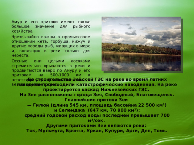 Амур и его притоки имеют также большое значение для рыбного хозяйства. Чрезвычайно важны в промысловом отношении кета, горбуша, кижуч и другие породы рыб, живущих в море и, входящих в реки только для нереста. Осенью они целыми косяками стремительно врываются в реки и продвигаются вверх по Амуру и его притокам на 500-1000 км к нерестилищам, расположенным в верховьях горных рек. До строительства Зейской ГЭС на реке во время летних паводков происходили катастрофические наводнения. На реке проектируется каскад Нижнезейских ГЭС.  На Зее расположены города Зея, Свободный, Благовещенск.  Главнейшие притоки Зеи  — Гилюй (длина 545 км, площадь бассейна 22 500 км²)  и Селемджа (647 км, 70 900 км²);  средний годовой расход воды последней превышает 700 м³/сек.  Другими притоками Зеи являются реки:  Ток, Мульмуга, Брянта, Уркан, Купури, Арги, Деп, Томь.   