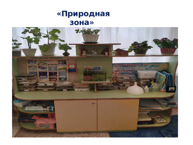 «Природная зона» 