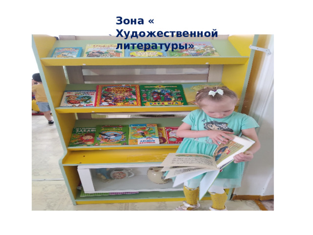 Зона « Художественной литературы» 