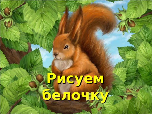 Рисуем белочку 