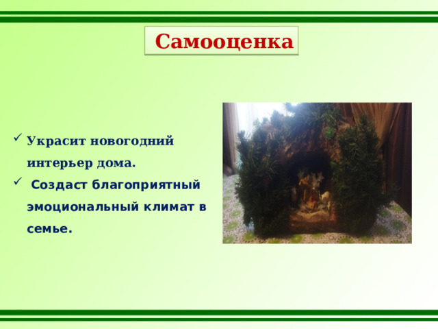  Самооценка Украсит новогодний интерьер дома.  Создаст благоприятный эмоциональный климат в семье.          