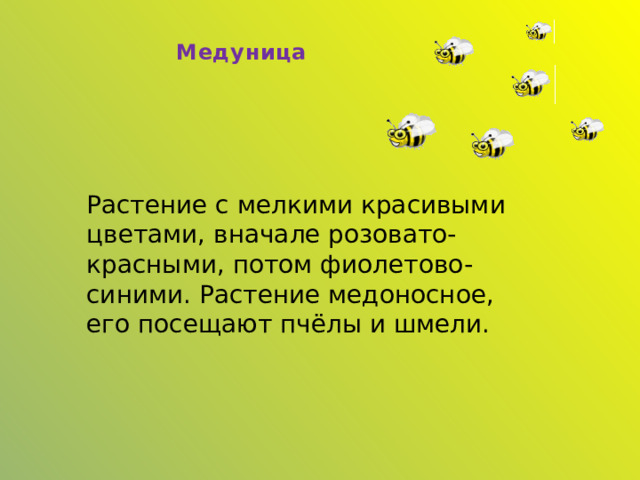Медуница Растение с мелкими красивыми цветами, вначале розовато- красными, потом фиолетово-синими. Растение медоносное, его посещают пчёлы и шмели.  