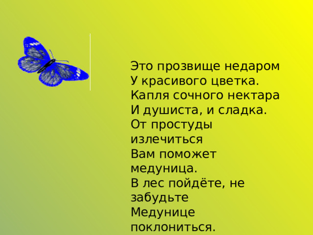 Это прозвище недаром  У красивого цветка.  Капля сочного нектара  И душиста, и сладка.  От простуды излечиться  Вам поможет медуница.  В лес пойдёте, не забудьте  Медунице поклониться.  Е. Кожевникова 