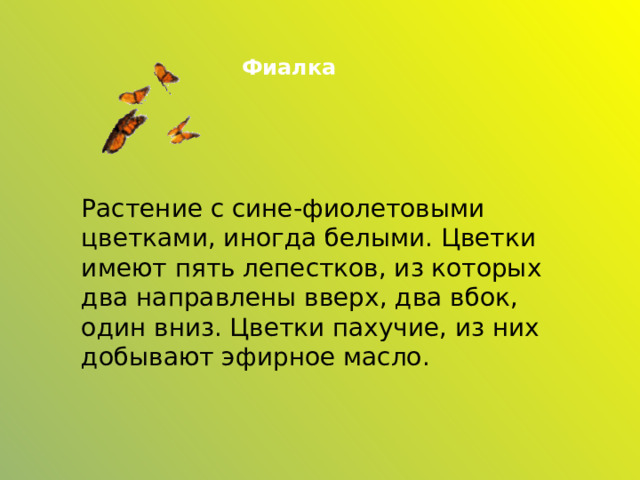 Фиалка Растение с сине-фиолетовыми цветками, иногда белыми. Цветки имеют пять лепестков, из которых два направлены вверх, два вбок, один вниз. Цветки пахучие, из них добывают эфирное масло. 