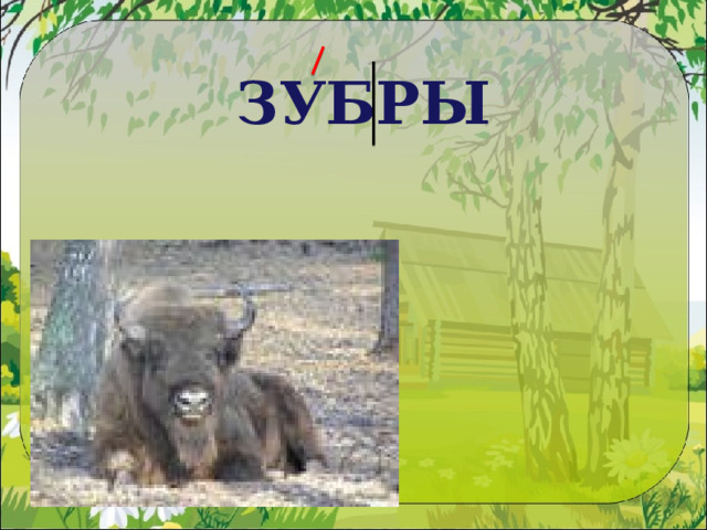 ЗУБРЫ 