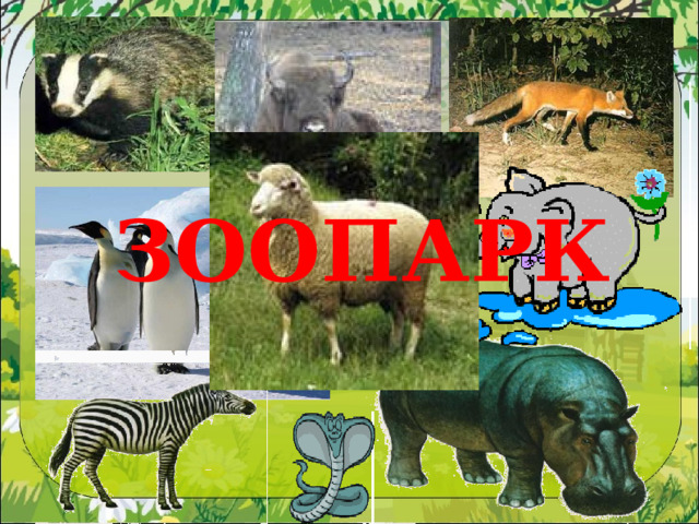 ЗООПАРК 