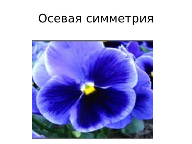 Осевая симметрия 
